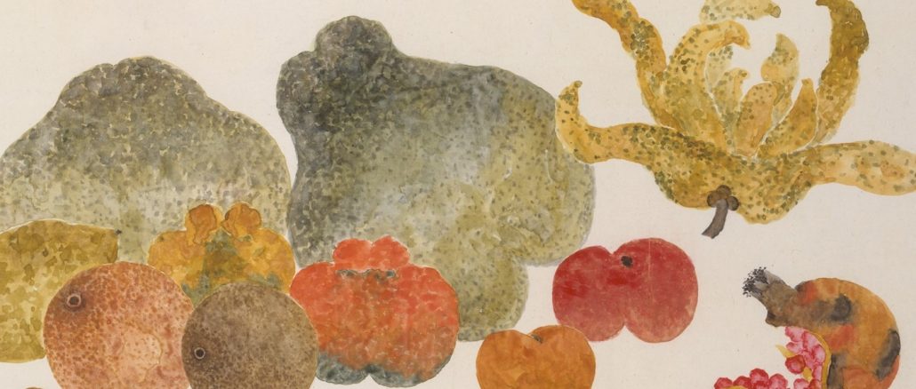 Ding Fuzhi, "近代 丁輔之 雜果圖 冊頁 (Fruit)," album leaf and ink and color on paper, 1945, Gift of Robert Hatfield Ellsworth, in memory of La Ferne Hatfield Ellsworth, 1986, The Metropolitan Museum of Art.