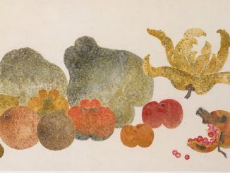 Ding Fuzhi, "近代 丁輔之 雜果圖 冊頁 (Fruit)," album leaf and ink and color on paper, 1945, Gift of Robert Hatfield Ellsworth, in memory of La Ferne Hatfield Ellsworth, 1986, The Metropolitan Museum of Art.