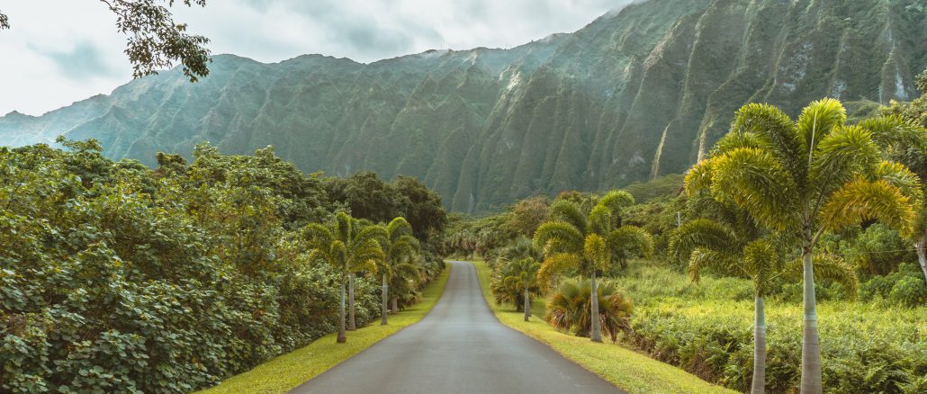 @wild_away photograph of Ho'omaluhia Botanical Garden, Kaneohe, O'ahu, Hawai'i, United States, on Unsplash.