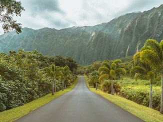 @wild_away photograph of Ho'omaluhia Botanical Garden, Kaneohe, O'ahu, Hawai'i, United States, on Unsplash.