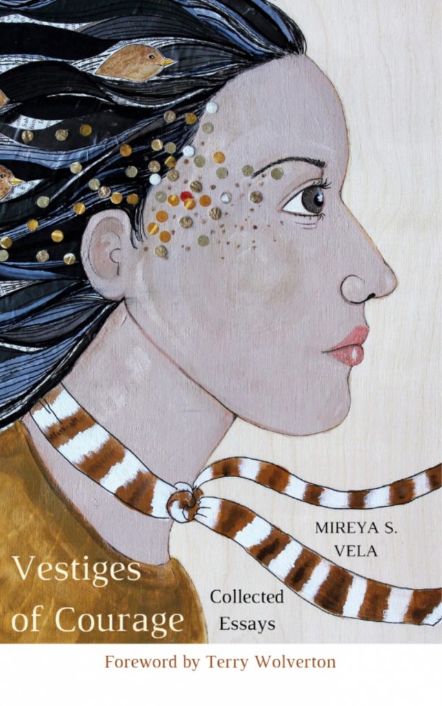 Vestiges of Courage, by Mireya S. Vela